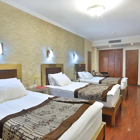 Hotel Grand Madrid 3*