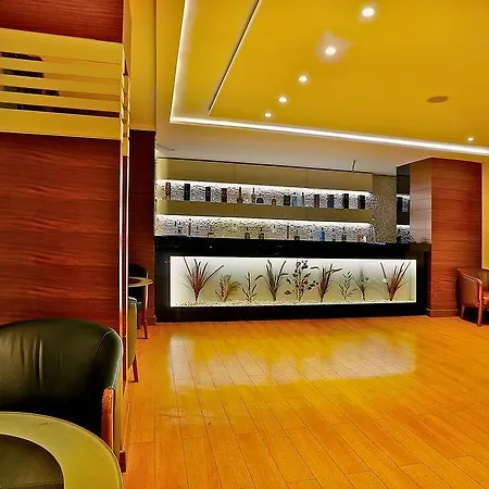 Hotel Grand Madrid