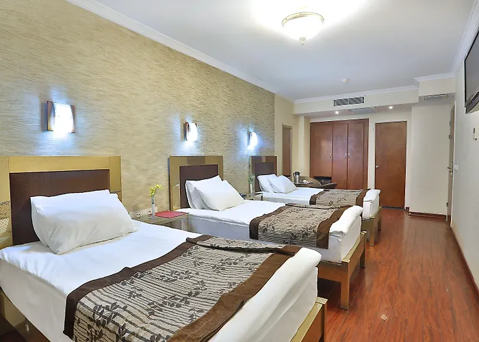 Hotel Grand Madrid 3*