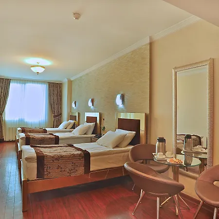 Hotel Grand Madrid