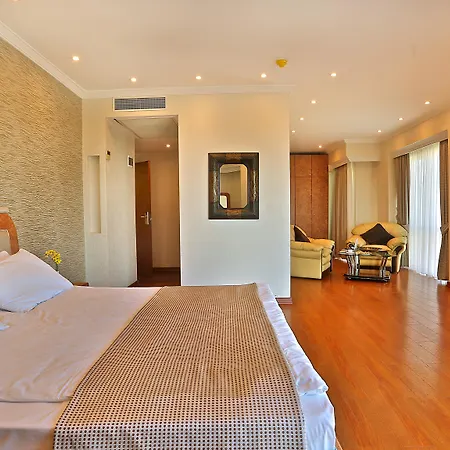 Hotel Grand Madrid